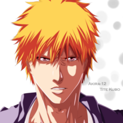 kurosaki ichigo